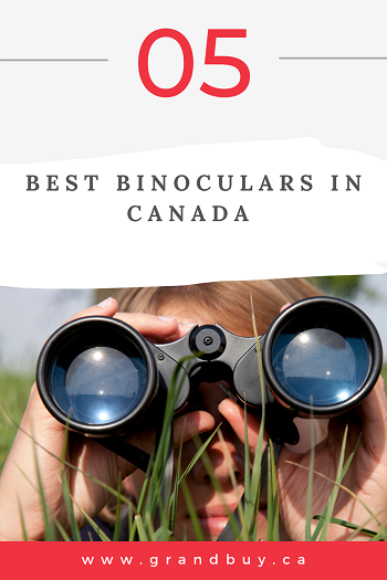 5 Best Binoculars in Canada (2023 update)