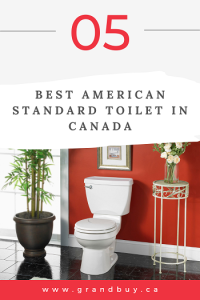 American Standard Toilet in Canada