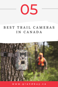 Best Trail Cameras in Canada