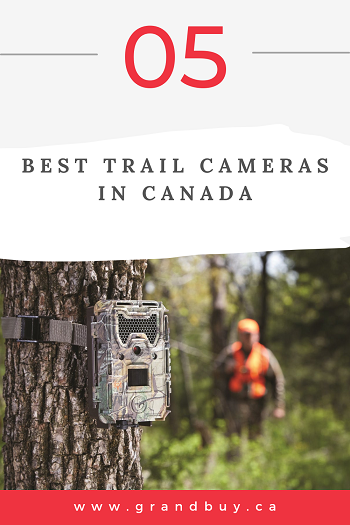 5 Best Trail Cameras in Canada (2023 Updated)